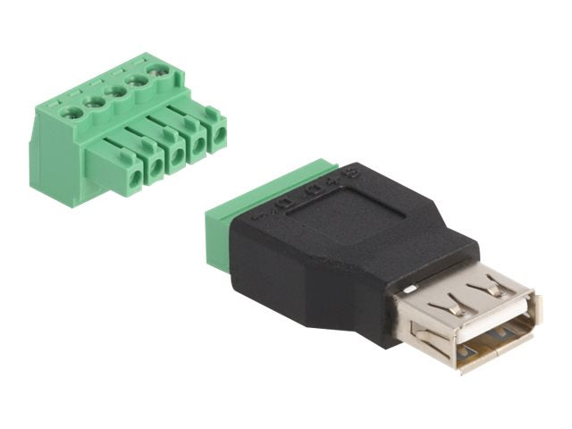 DELOCK USB 2.0 Typ-A Buchse zu Terminalblock Adapter Vorderansicht
