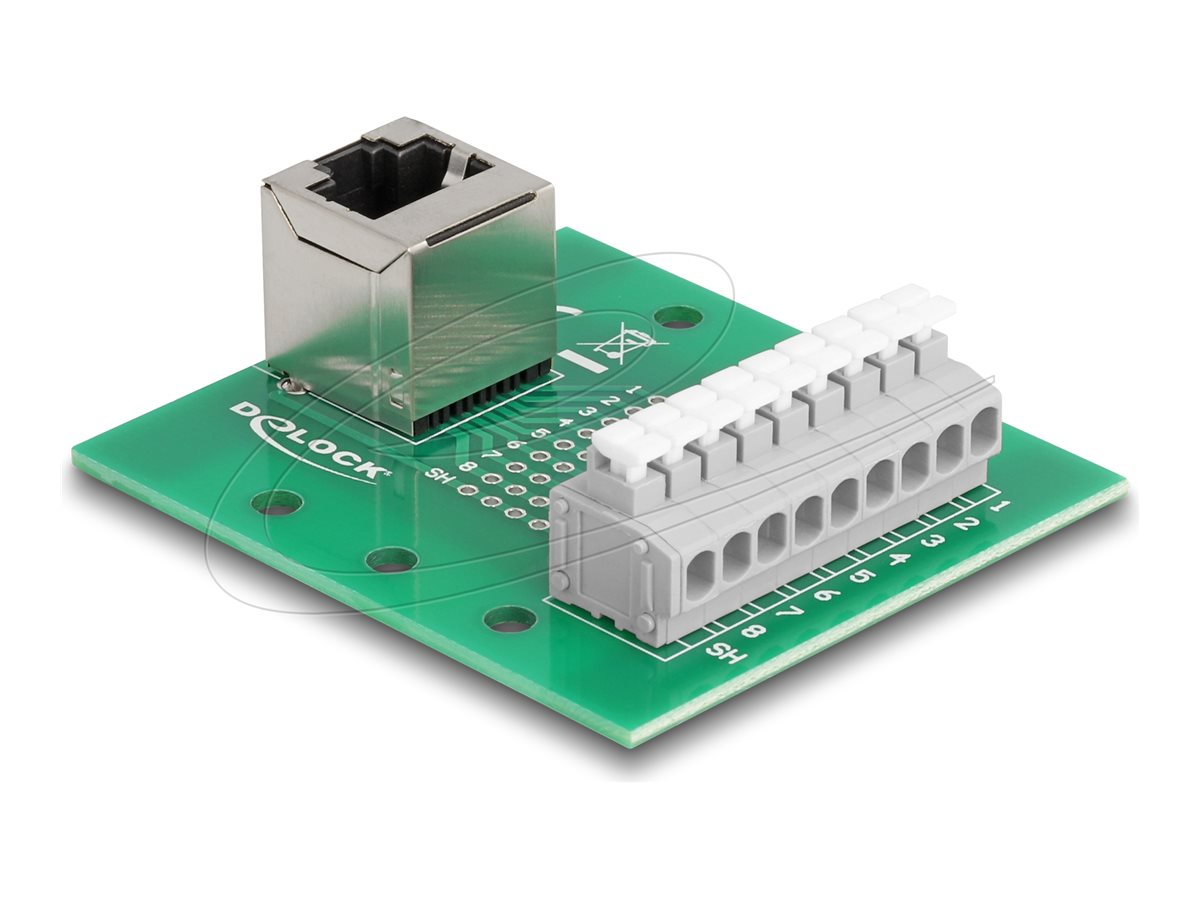 DELOCK RJ45 Buchse zu Terminalblock mit Drucktaster für Hutschiene gewinkelt - Vorderansicht