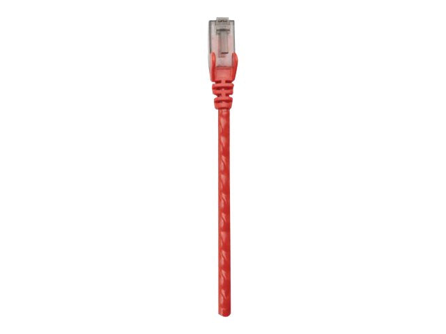 INTELLINET Netzwerkkabel Cat6 U/UTP 1m rot CCA RJ-45 Stecker Vorderansicht