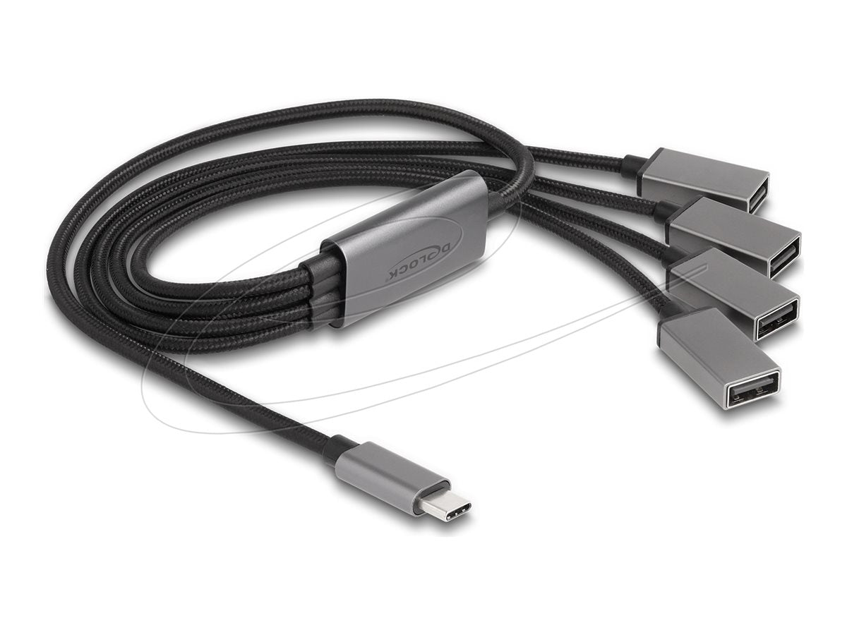 DELOCK 4 Port USB 2.0 Kabel-Hub mit USB Type-C Anschluss 60cm - Vorderansicht