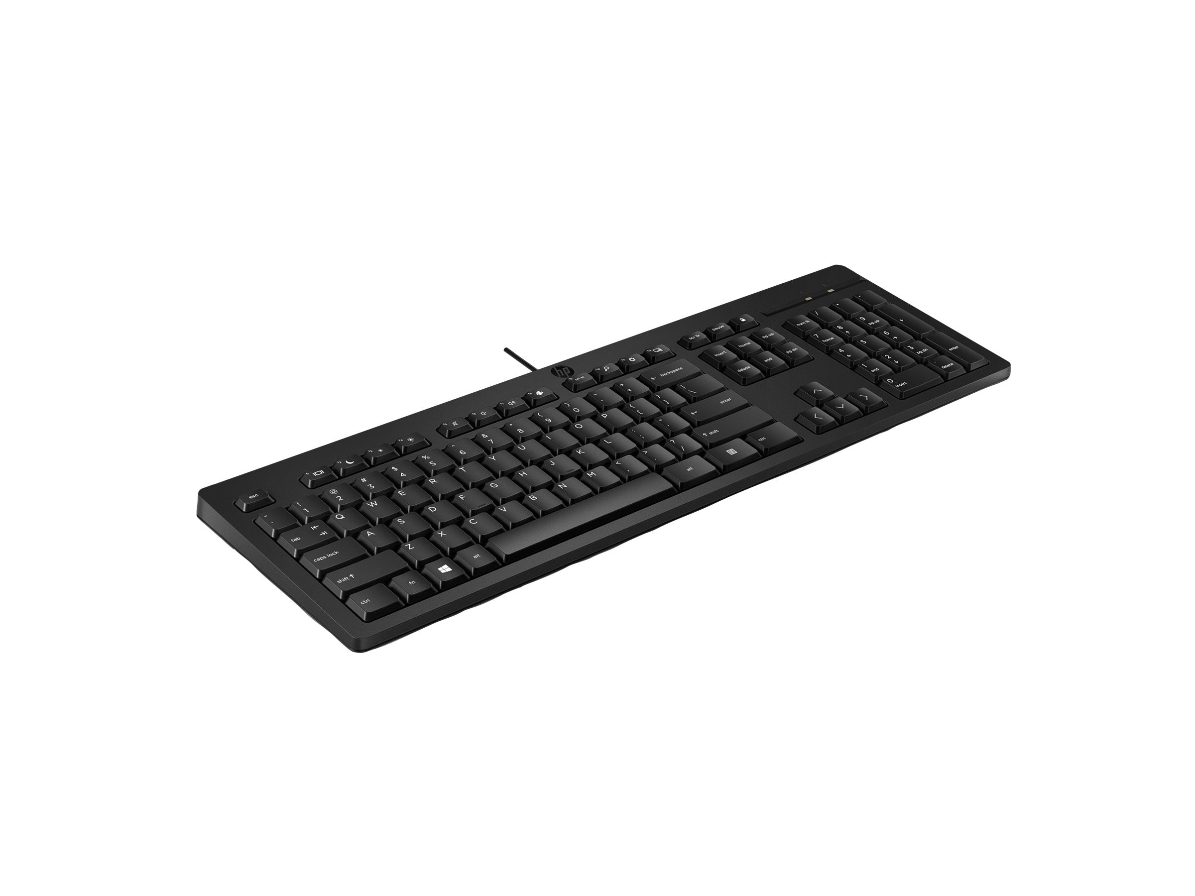 HP 125 USB WD KBD Bulk 12 (DE) Detailansicht