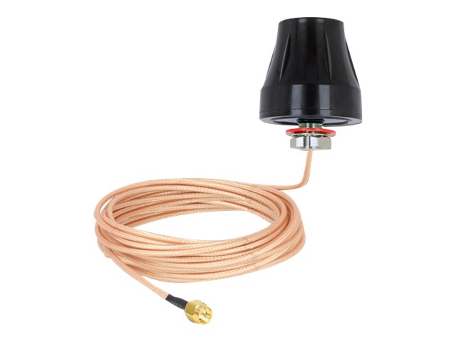 DELOCK LTE Antenne SMA Stecker 2 dBi starr omnidirektional Vorderansicht