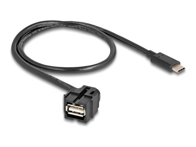 DELOCK Keystone Modul USB 2.0 A Buchse zu USB Type-C Stecker 250 mit Kabel 0,5m - Vorderansicht