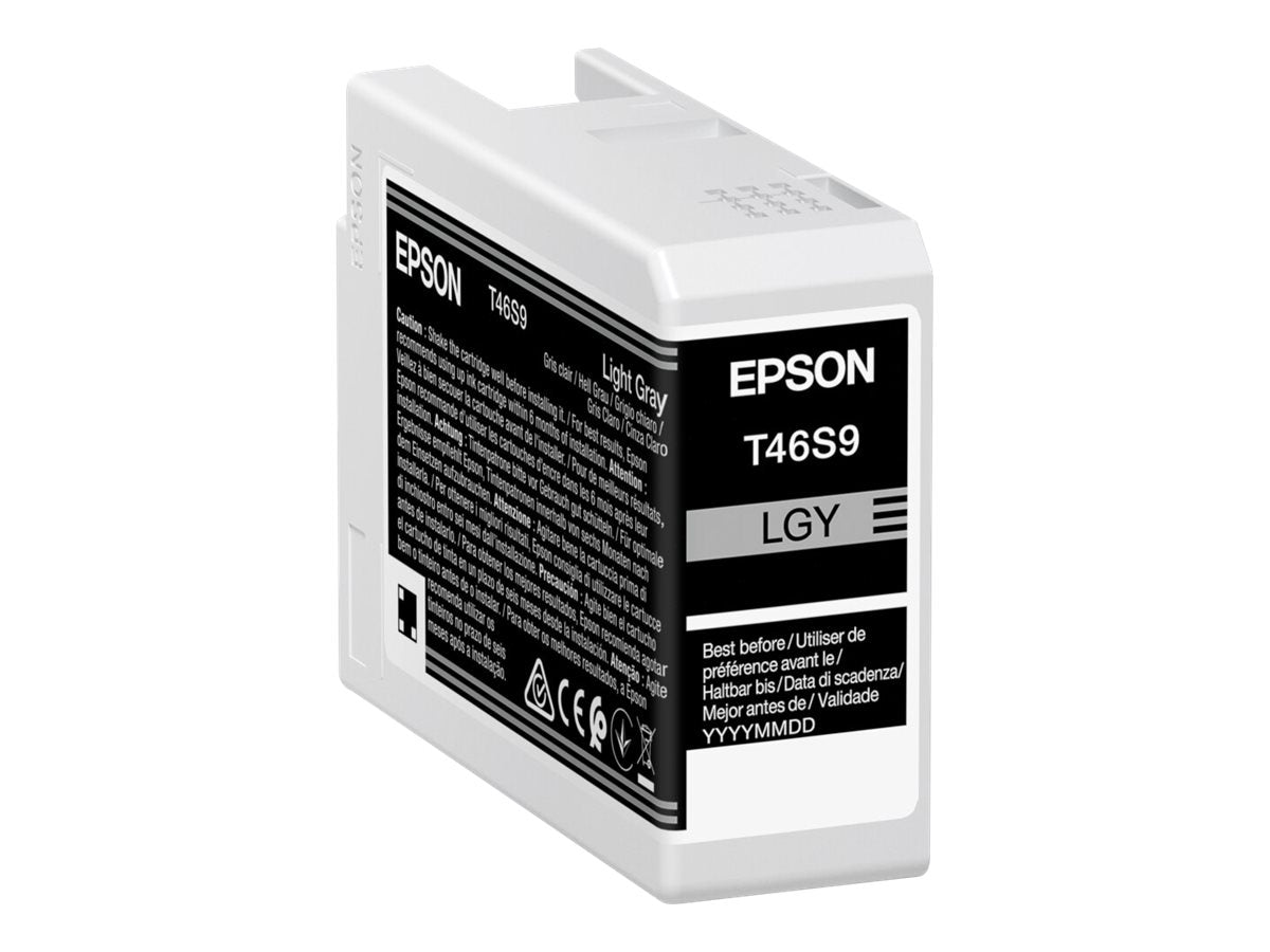EPSON 1LB Singlepack Light Gray T46S9 UltraChrome Pro 10 Tinte - Vorderansicht