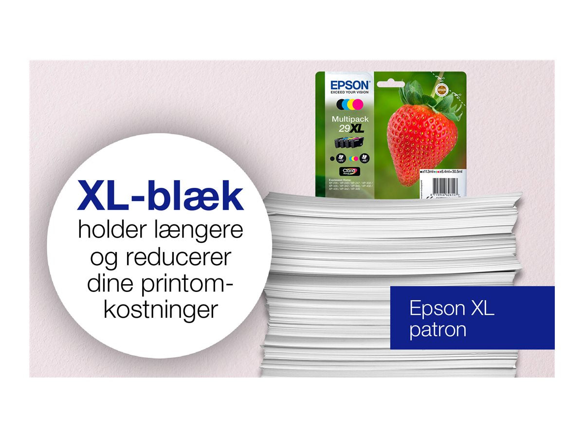 EPSON 1LB 29XL Multipack Detailansicht