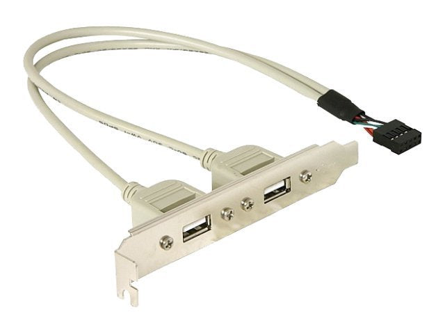 DELOCK Slotblech intern USB 5pin zu 2x USB2.0 extern - Vorderansicht