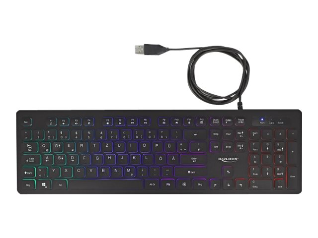DELOCK USB Tastatur kabelgebunden 1,5m schwarz mit RGB Beleuchtung - Vorderansicht