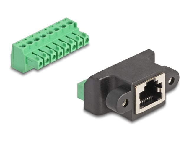 DELOCK RJ45 Buchse zu Terminalblock Adapter Vorderansicht