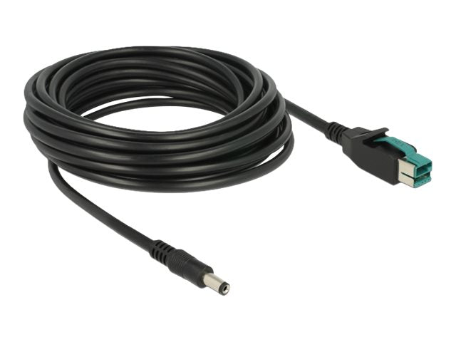 DELOCK PoweredUSB Kabel Stecker 12 V > DC 5,5 x 2,1 mm Stecker 5 m - Vorderansicht