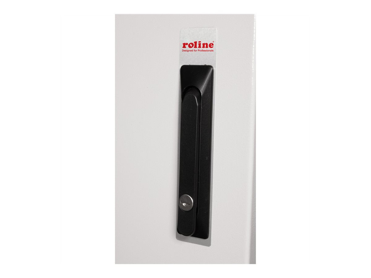 ROLINE Wandgehäuse Pro 48,26cm Verpackung