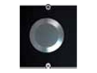 BACHMANN Rahmen 1xTaster Edelstahl