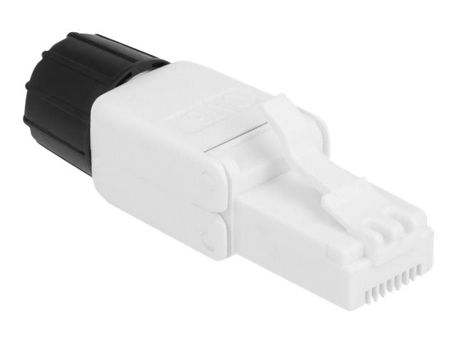 DELOCK RJ45 Stecker Cat.6 UTP werkzeugfrei - Verpackung