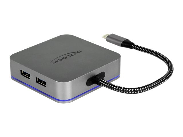 DELOCK USB Type-C Dockingstation Rückansicht
