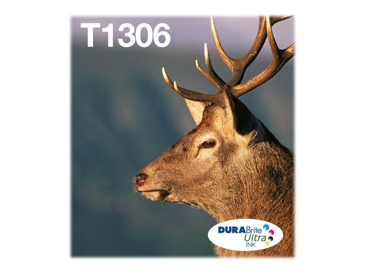 EPSON 1LB Multipack T1306 DURABrite Ultra Ink Vorderansicht
