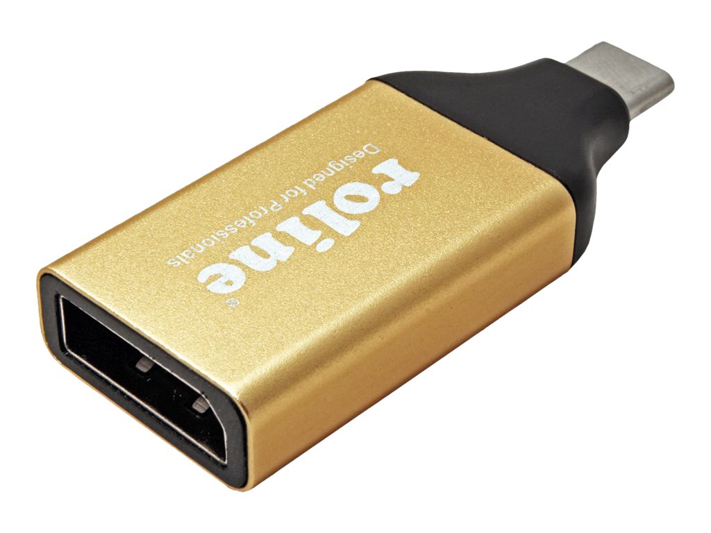 ROLINE GOLD Display Adapter USB Typ C - DisplayPort v1.2 Vorderansicht