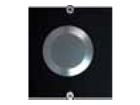 BACHMANN Rahmen 1xTaster Edelstahl