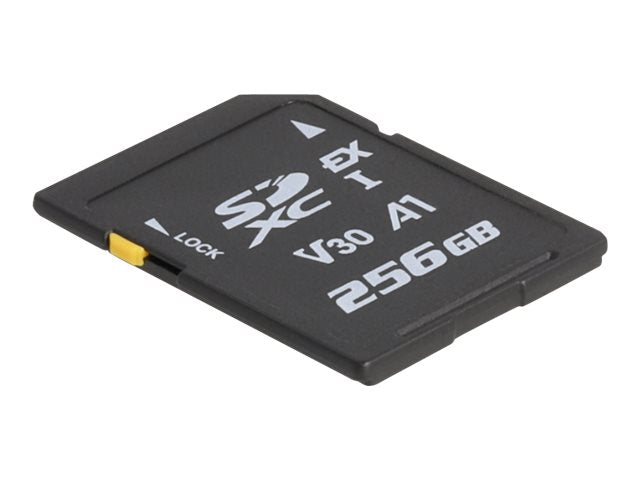 DELOCK SD Express Speicherkarte 256GB Vorderansicht