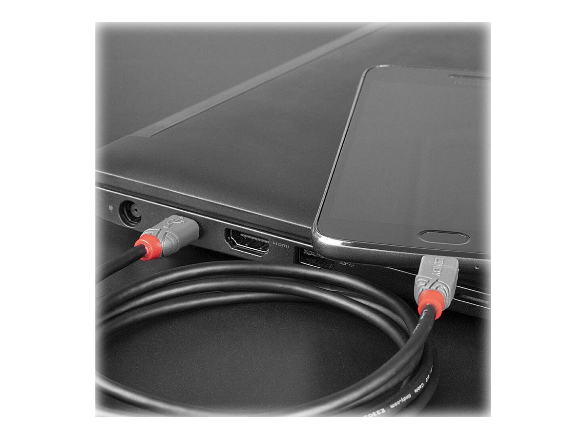 LINDY 1m USB 2.0 USB/C - Micro-B Kabel Detailansicht