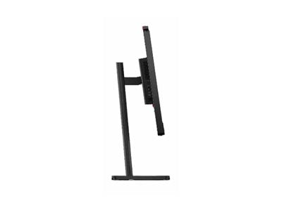 LENOVO ThinkVision T24-4v Monitor Detailansicht