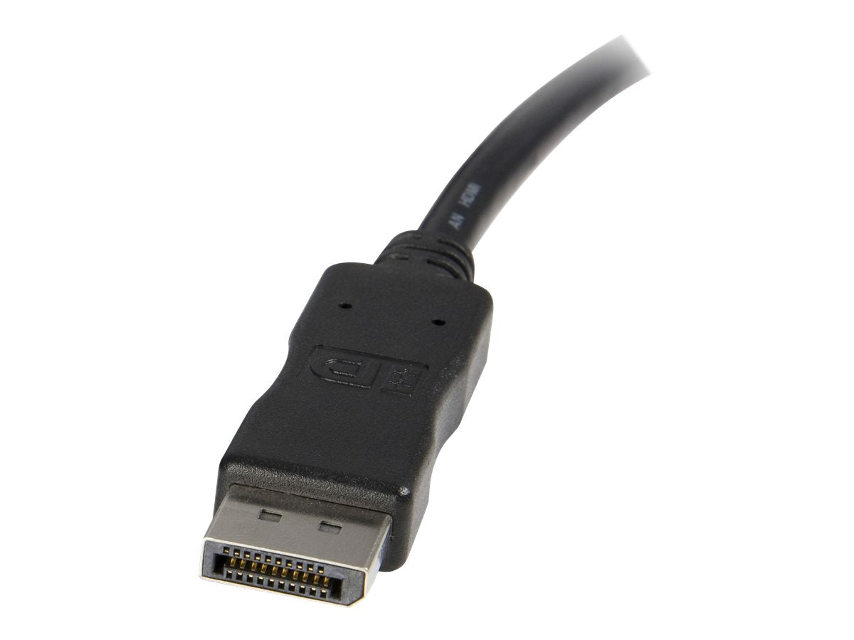 STARTECH.COM 3m DisplayPort auf DVI Adapter Konverter Kabel - Detailansicht