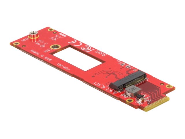 DELOCK Konverter EDSFF E1.S zu M.2 Key M Slot NVMe - Verpackung