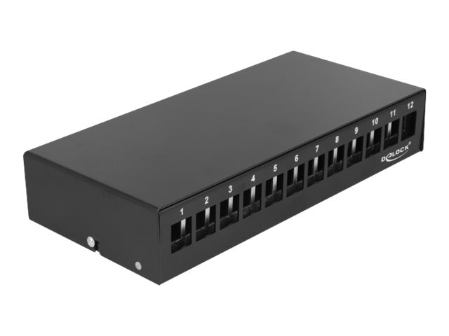 DELOCK Keystone Patchpanel 12 Port schwarz Verpackung