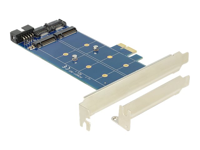 DELOCK PCIe 2 x M.2 NGFF SATA + USB Vorderansicht