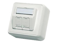 TELEGÄRTNER Aufputzdose Modulaufnahme reinweiss 2-fach