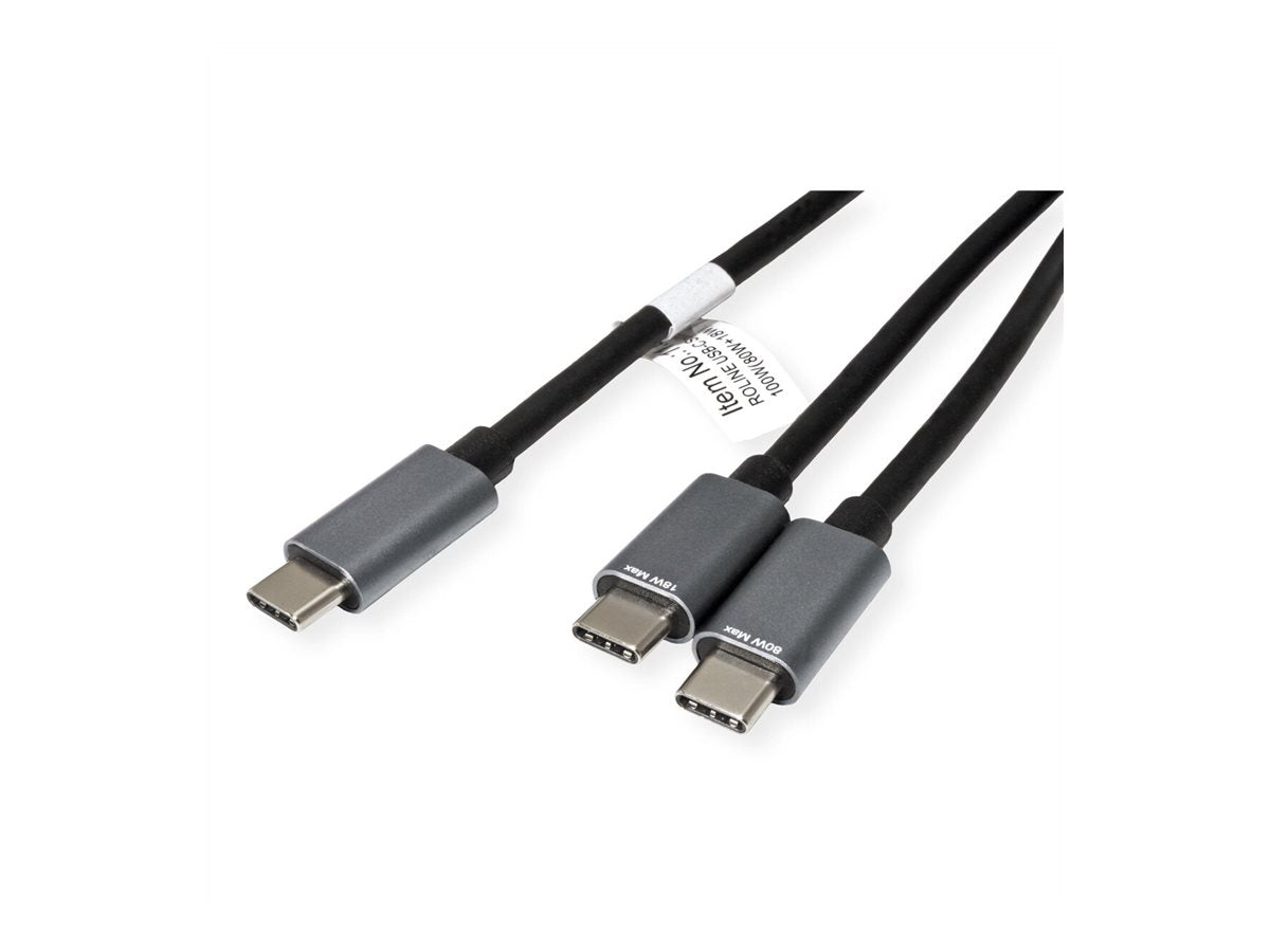 ROLINE USB Typ C Split-Ladekabel Anschlussansicht