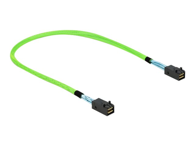 DELOCK PCI Express 4.0 Kabel Mini SAS HD SFF-8673 zu SFF-8673 0,5m - Vorderansicht