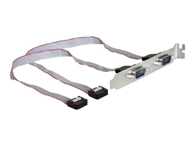 DELOCK Slotblech Seriell 2xPort 40cm Vorderansicht
