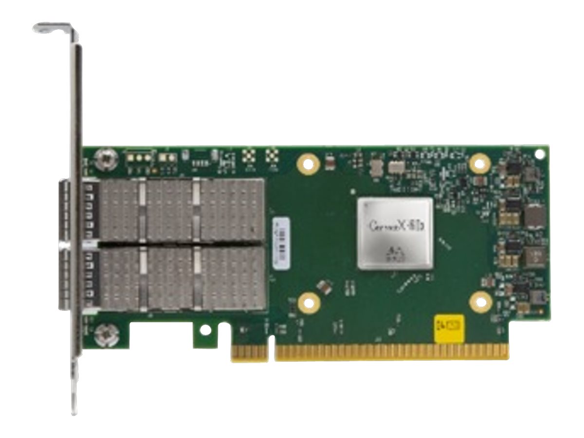 HPE Adapter Mellanox MCX623106AS-CDAT Ethernet 100Gb 2-port QSFP56 Vorderansicht