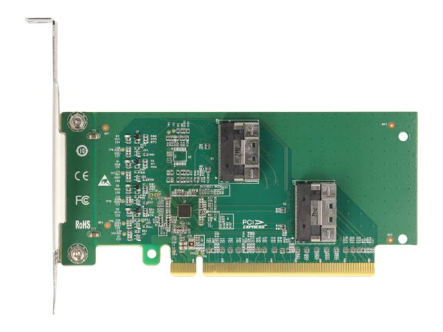 DELOCK PCI Express 4.0x16 Karte Vorderansicht