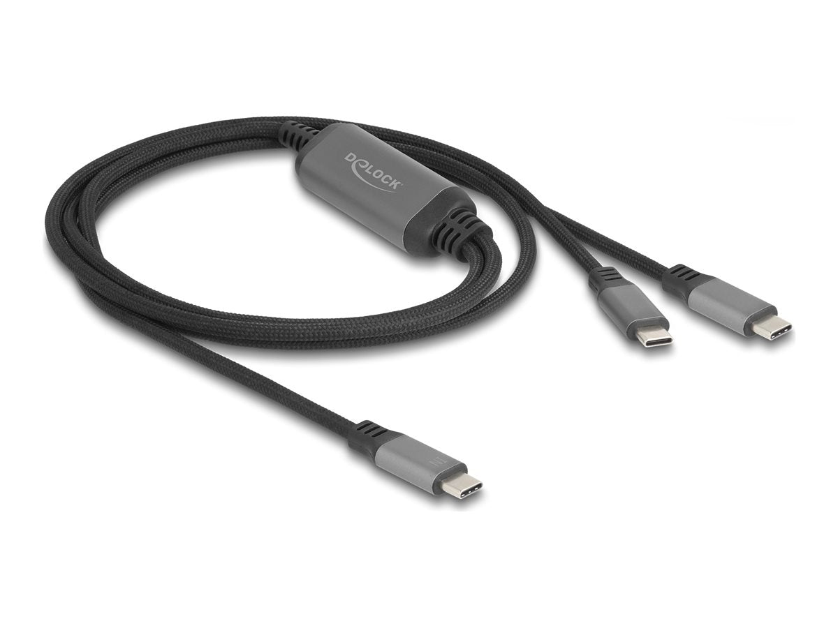 DELOCK USB-C Y-Kabel 1 x Stecker zu 2 x Stecker PD 3.0 100 W - Vorderansicht