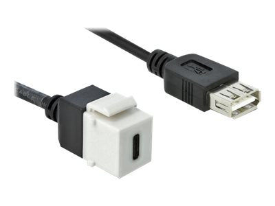 DELOCK Keystone Modul USB 2.0 C Buchse > USB 2.0 A Buchse mit Kabel - Vorderansicht