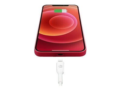 MANHATTAN USB-C auf Lightning Sync-/Ladekabel Vorderansicht