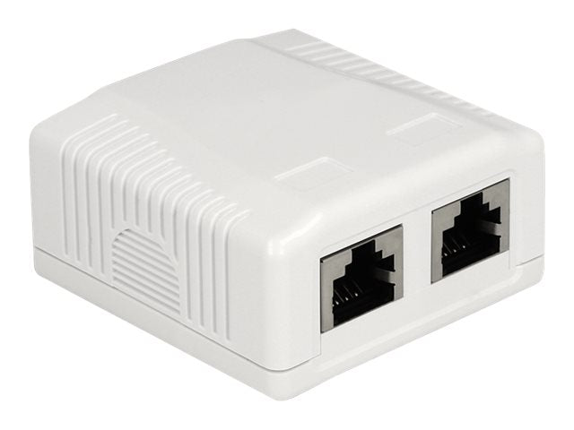 DELOCK Netzwerk Anschlussdose 2 Port Cat.6A LSA - Vorderansicht