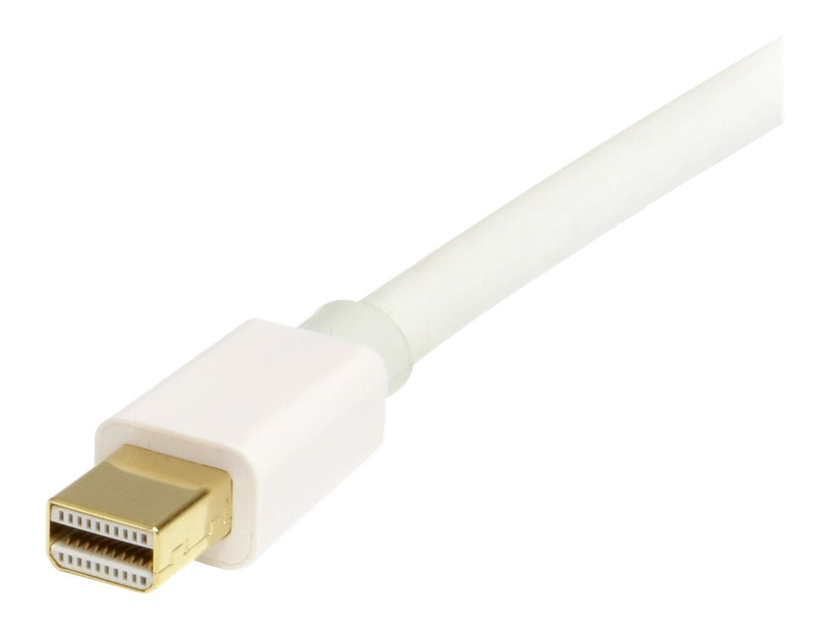 STARTECH.COM 1m Mini DisplayPort zu DisplayPort 1.2 Adapter Kabel Vorderansicht