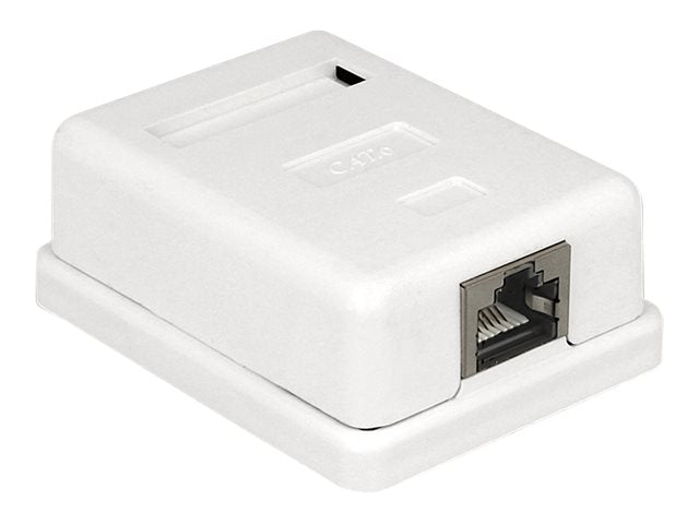 DELOCK Netzwerk Dose 1xRJ45 LSA werkzeugfrei Cat.6 Vorderansicht