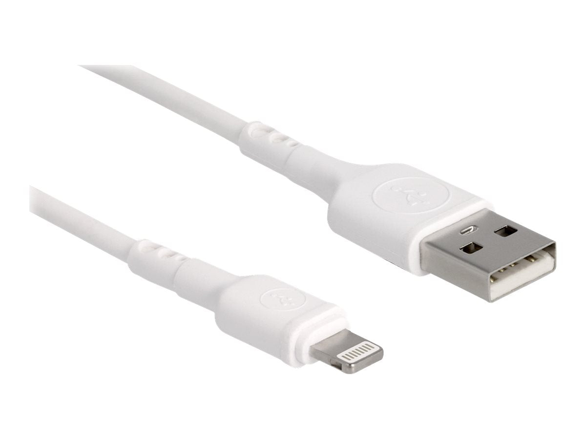 DELOCK USB Ladekabel für iPhone iPad iPod 30cm - Vorderansicht