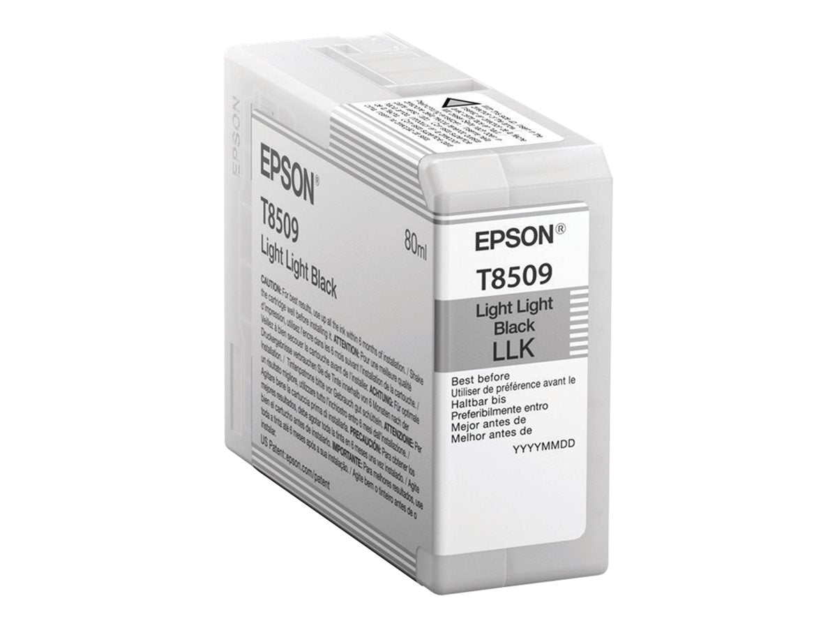 EPSON 5LB Singlepack Light Light Black T850900 UltraChrome HD ink 80ml - Vorderansicht