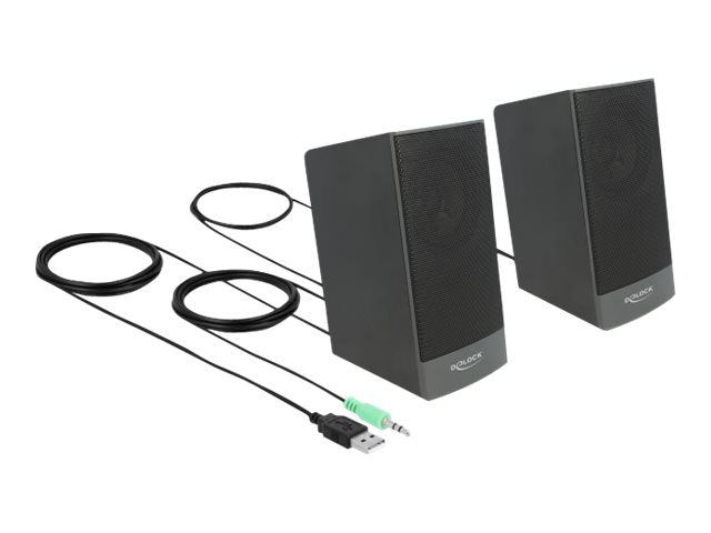 DELOCK Stereo 2.0 PC Lautsprecher Vorderansicht