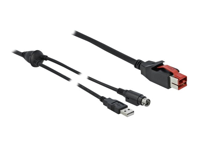 DELOCK PoweredUSB Kabel Stecker 24V zu USB Typ-A Stecker + mini-DIN 3 Pin Stecker 3m - Vorderansicht