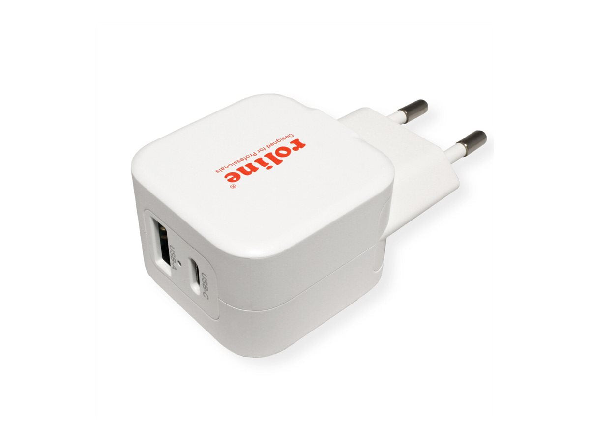 ROLINE USB Charger Vorderansicht