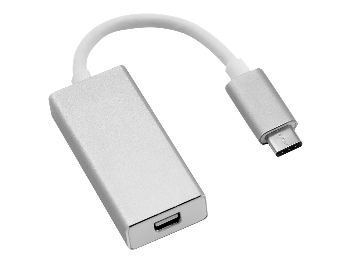 ROLINE Display Adapter USB Typ C - Mini-Display-Port v1.2 ST/BU Vorderansicht