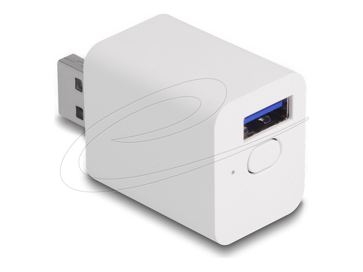 DELOCK WLAN EASY-USB Schalter Smart Life Vorderansicht