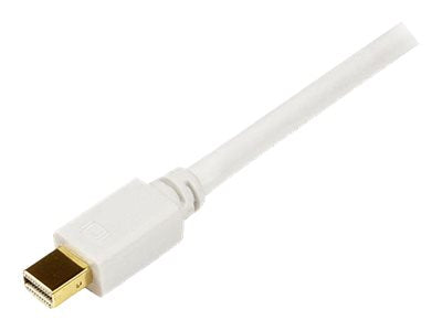 STARTECH.COM 1,8m Mini DisplayPort auf DVI Kabel Anschlussansicht