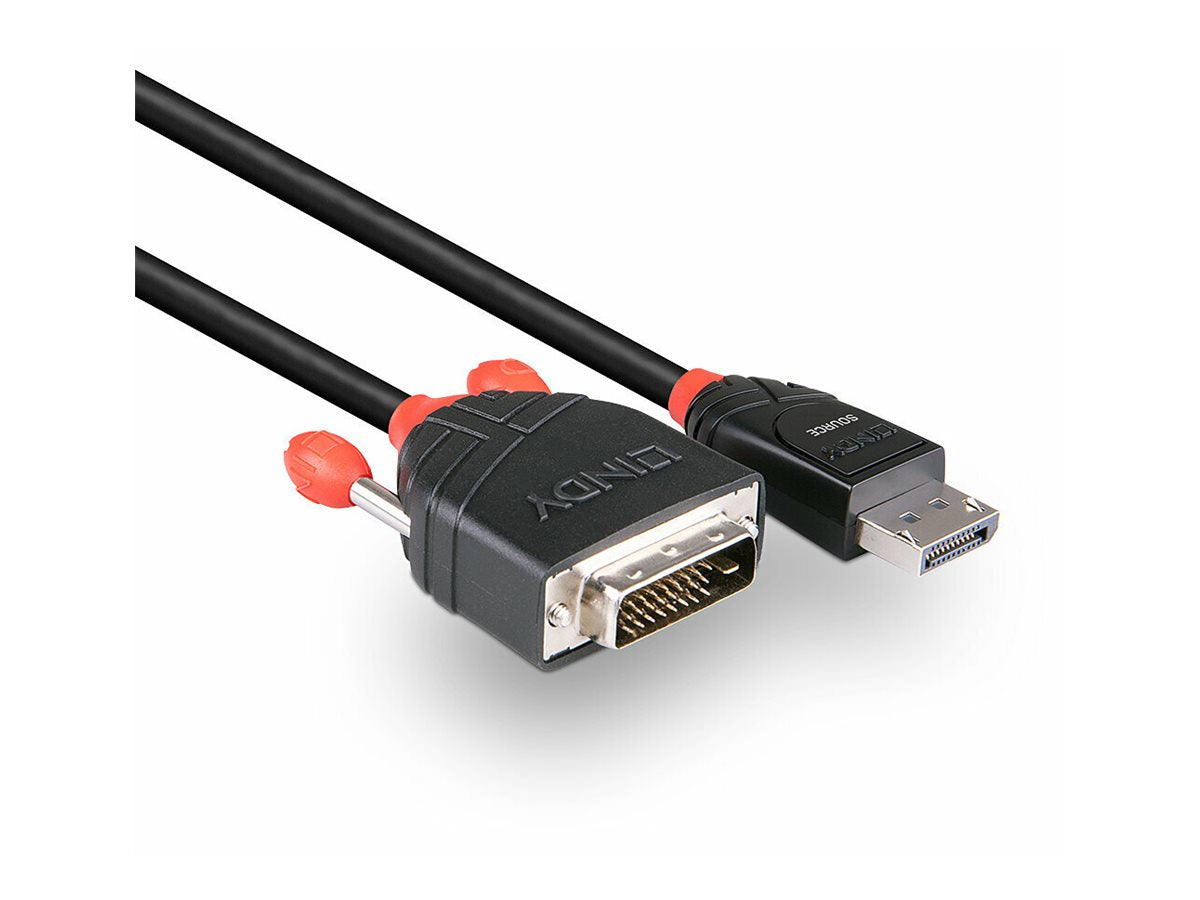 LINDY Kabel DisplayPort/DVI-D 1m DP Stecker an DVI-D Stecker - Detailansicht Stecker