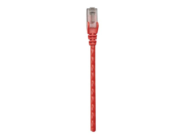 INTELLINET Netzwerkkabel Cat6 U/UTP 2,0m Rot RJ-45 Stecker Vorderansicht