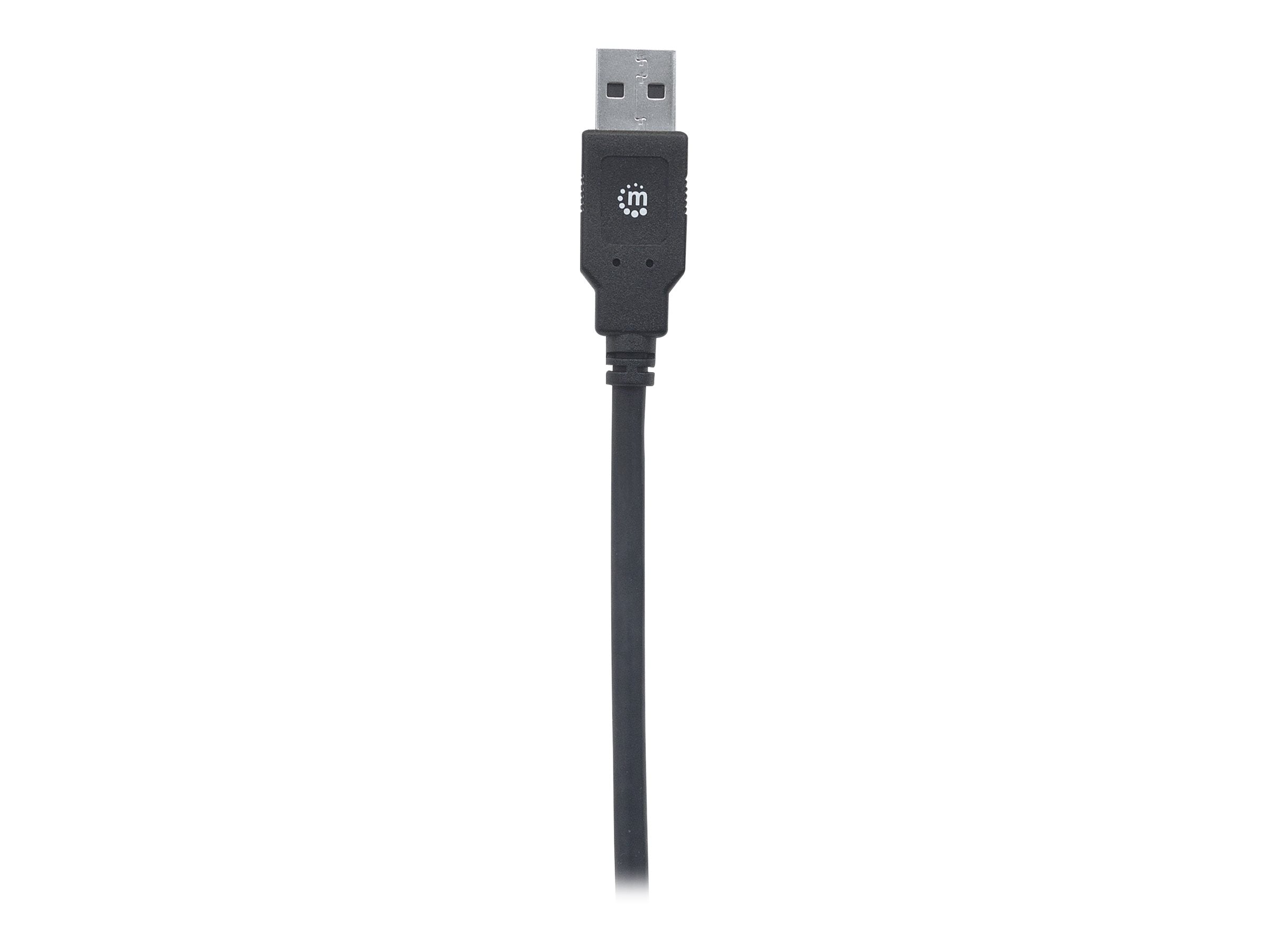MANHATTAN USB 3.1 Typ C Gen1-Kabel 2m Vorderansicht